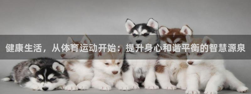尊龙官方正版app娱乐网站
