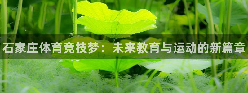 尊龙官网下载招商电话号码是多少啊：石家庄体育竞技梦：