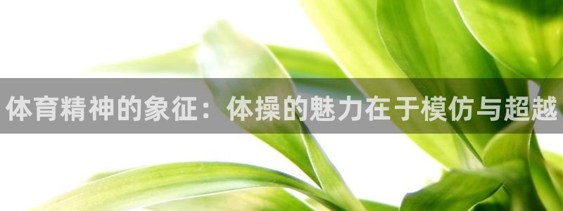尊龙官方正版app官网：体育精神的象征：体操的魅力在