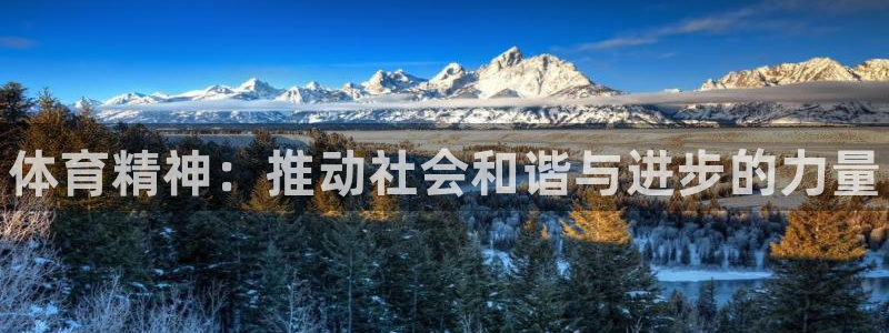 尊龙官网下载平台注册流程视频：体育精神：推动社会和谐与进步的