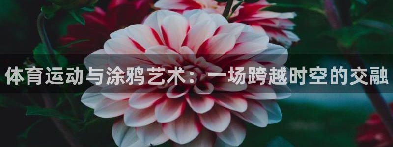 尊龙官网下载招商电话号码查询是多少：体育运动与涂鸦艺术：一场