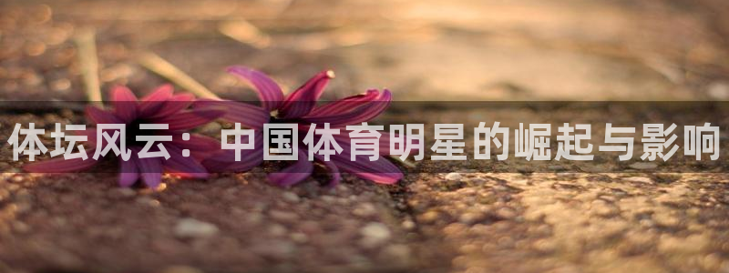 尊龙官网下载平台注册流程视频：体坛风云：中国体育明星的崛起与