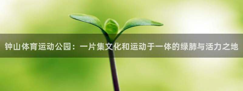 尊龙官网下载招商