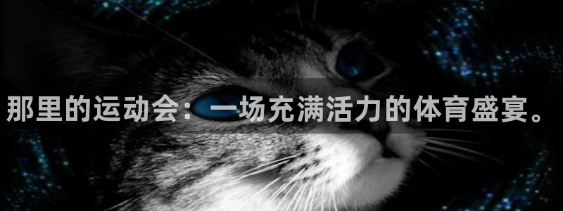 尊龙官方正版app官方