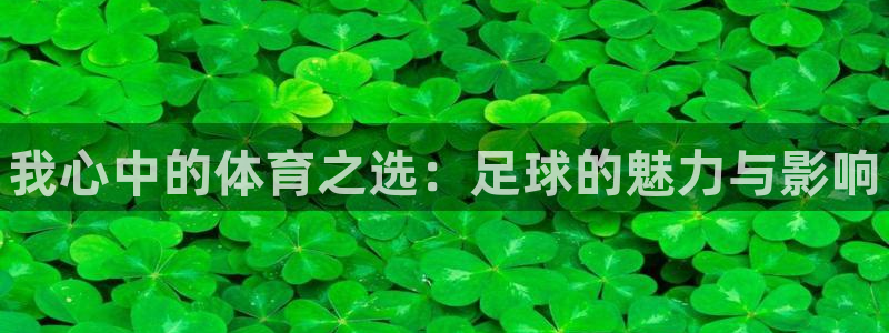 尊龙官方正版app官方：我心中的体育之选：足球的魅力与影响