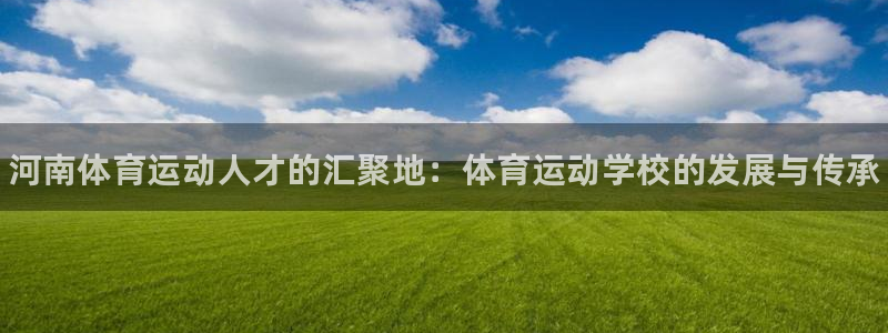 尊龙官方正版app新能源：河南体育运动人才的汇聚地：