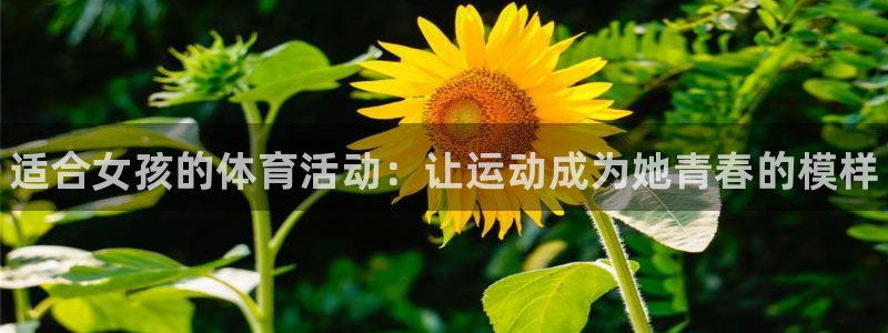 尊龙官方正版app娱乐是那个系列的台子：适合女孩的体