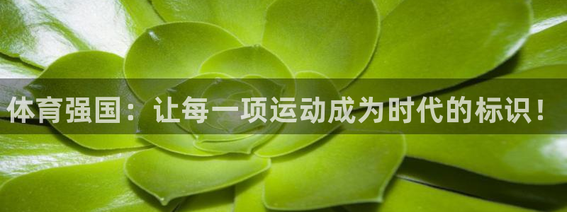 尊龙官方正版app娱乐网站：体育强国：让每一项运动成