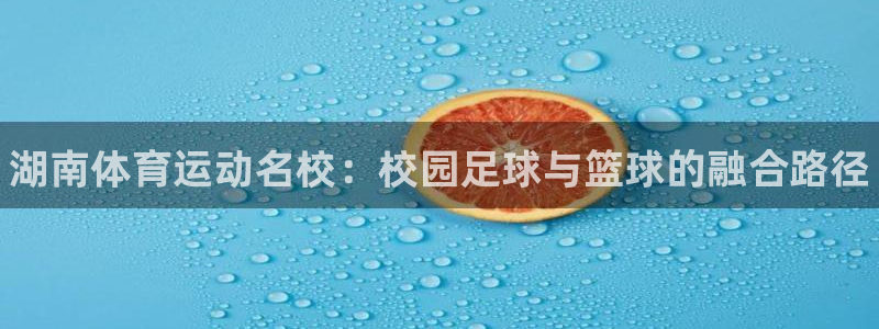 德国尊龙官方正版app集团