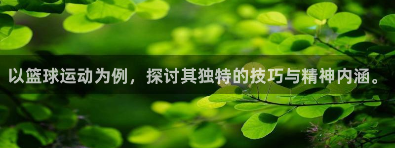 尊龙官方正版app五金厂：以篮球运动为例，探讨其独特