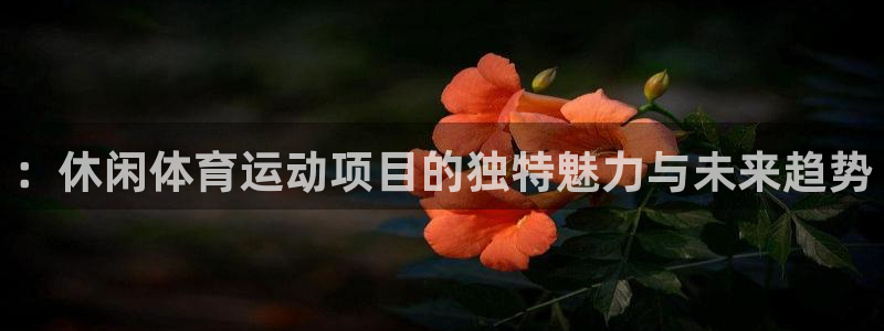 尊龙官方正版app神州：：休闲体育运动项目的独特魅力