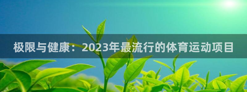 尊龙官方正版app新能源：极限与健康：2023年最流行的体育