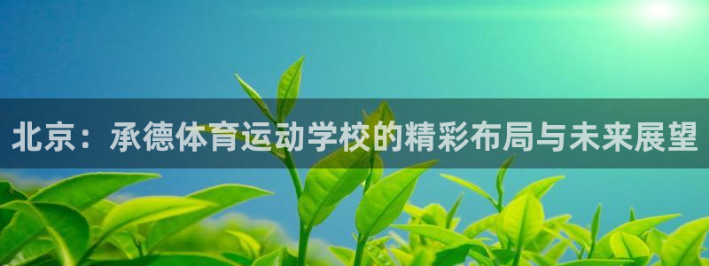 德国尊龙官方正版app集团