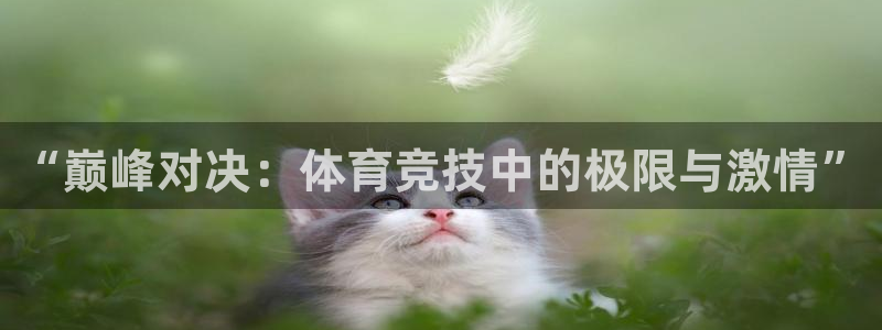 尊龙官网下载平台注册流程图：“巅峰对决：体育竞技中的