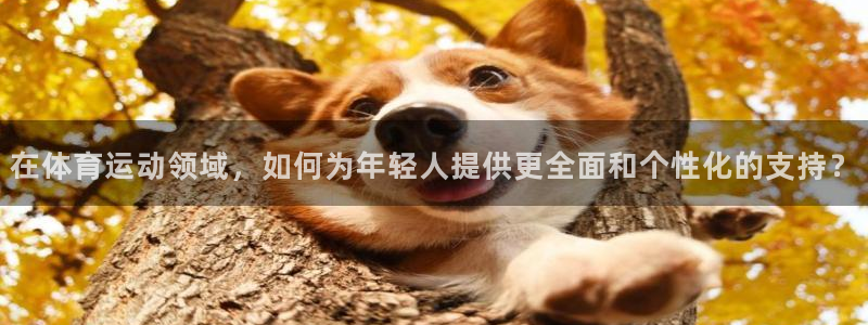 尊龙官网下载招商电话是多少啊：在体育运动领域，如何为年轻人提