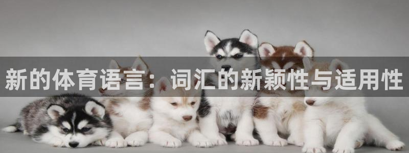 注册尊龙官方正版app：新的体育语言：词汇的新颖性与适用性