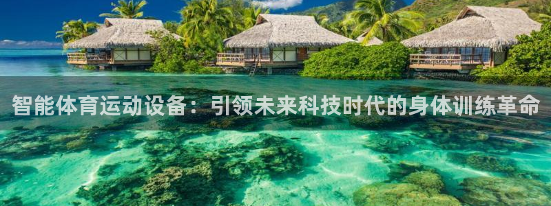 尊龙官方正版app代理：智能体育运动设备：引领未来科技时代的