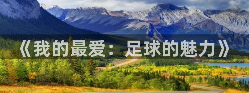 尊龙官方正版app官网