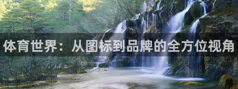 尊龙官方正版app集团：体育世界：从图标到品牌的全方