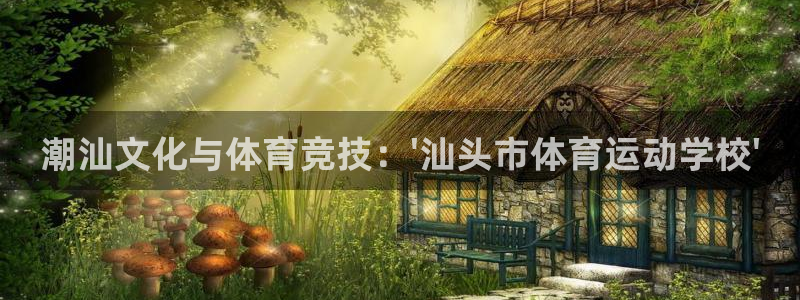 尊龙官方正版app集团logo：潮汕文化与体育竞技：\'汕头