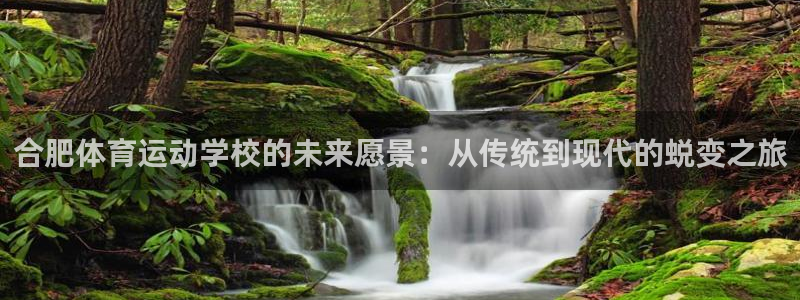 尊龙官方正版app娱乐平台：合肥体育运动学校的未来愿景：从传